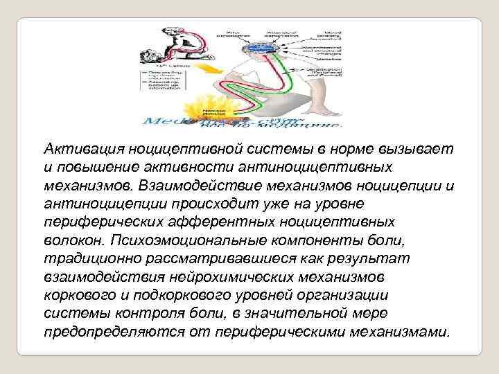 Центральные механизмы ноцицепции презентация