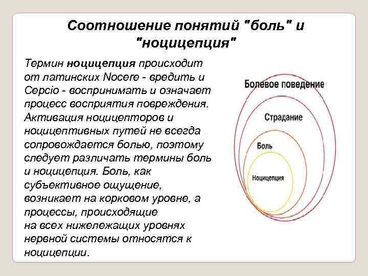 Соотношение понятий "боль" и "ноцицепция" Термин ноцицепция происходит от латинских Nocere вредить и Cepcio