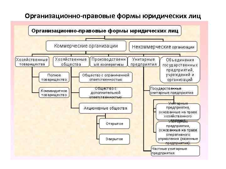 Организационно-правовые формы юридических лиц 