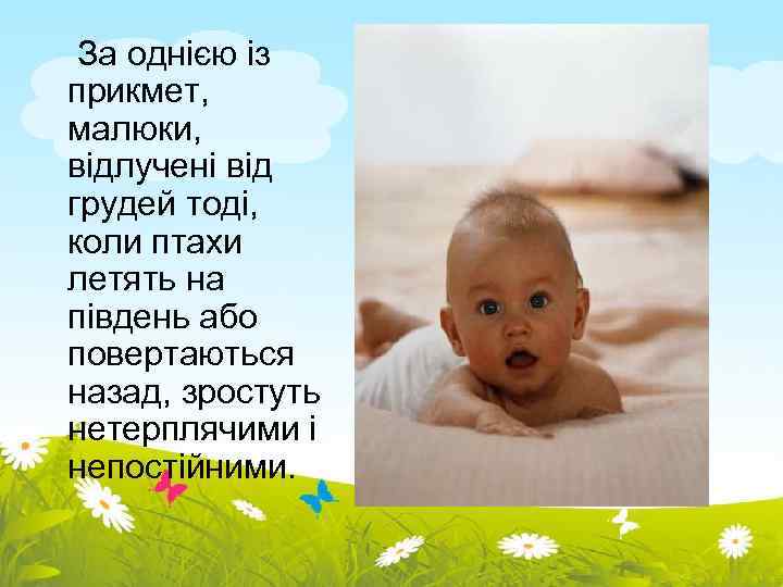  За однією із прикмет, малюки, відлучені від грудей тоді, коли птахи летять на