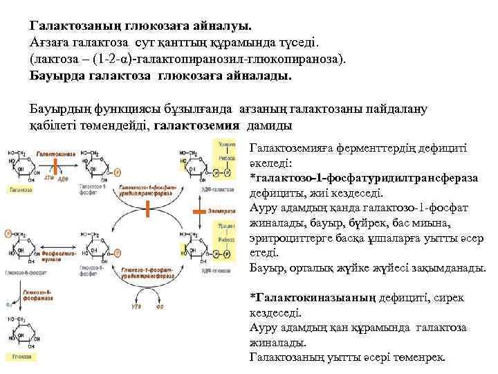 Галактозаның глюкозаға айналуы. Ағзаға галактоза сут қанттың құрамында түседі. (лактоза – (1 -2 -α)-галактопиранозил-глюкопираноза).
