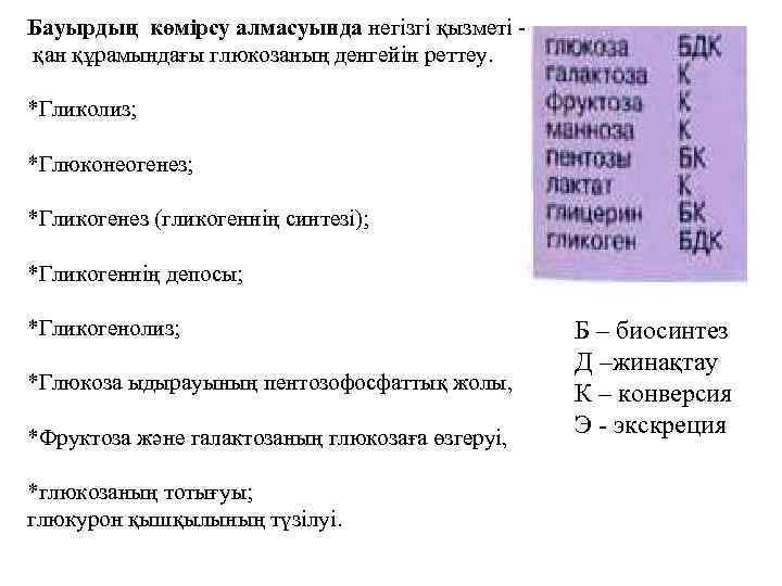 Бауырдың көмірсу алмасуында негізгі қызметі қан құрамындағы глюкозаның денгейін реттеу. *Гликолиз; *Глюконеогенез; *Гликогенез (гликогеннің