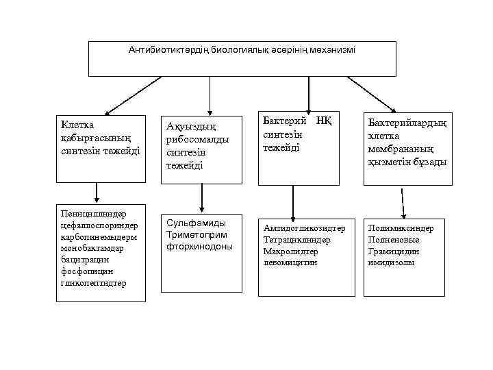 Антибиотиктердің биологиялық әсерінің механизмі Клетка қабырғасының синтезін тежейді Пенициллиндер цефаллоспориндер карбопинемыдерм монобактамдар бацитрацин фосфопицин