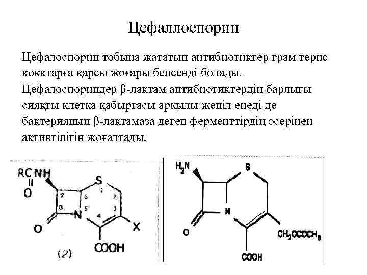 Цефаллоспорин Цефалоспорин тобына жататын антибиотиктер грам терис кокктарға қарсы жоғары белсенді болады. Цефалоспориндер β-лактам