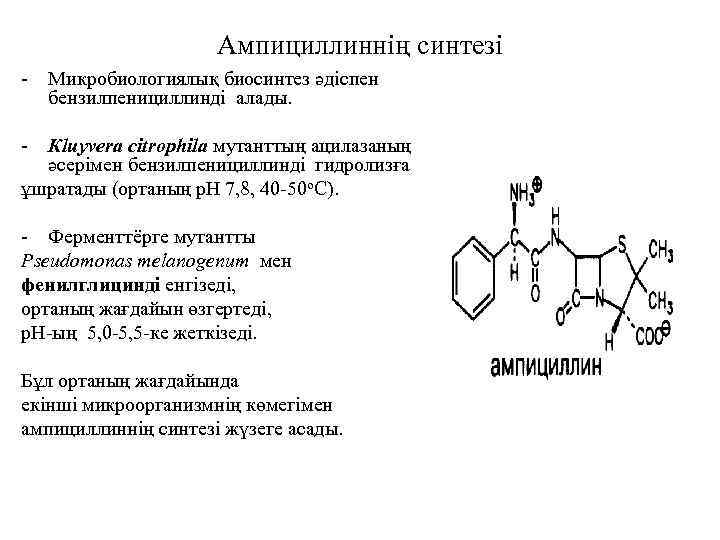Ампициллиннің синтезі - Микробиологиялық биосинтез әдіспен бензилпенициллинді алады. - Кluyvera citrophila мутанттың ацилазаның әсерімен