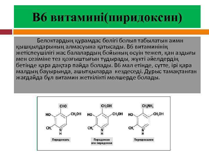 В 6 витамині(пиридоксин) Белоктардың құрамдас бөлігі болып табылатын аимн қышқылдарының алмасуына қатысады. В 6