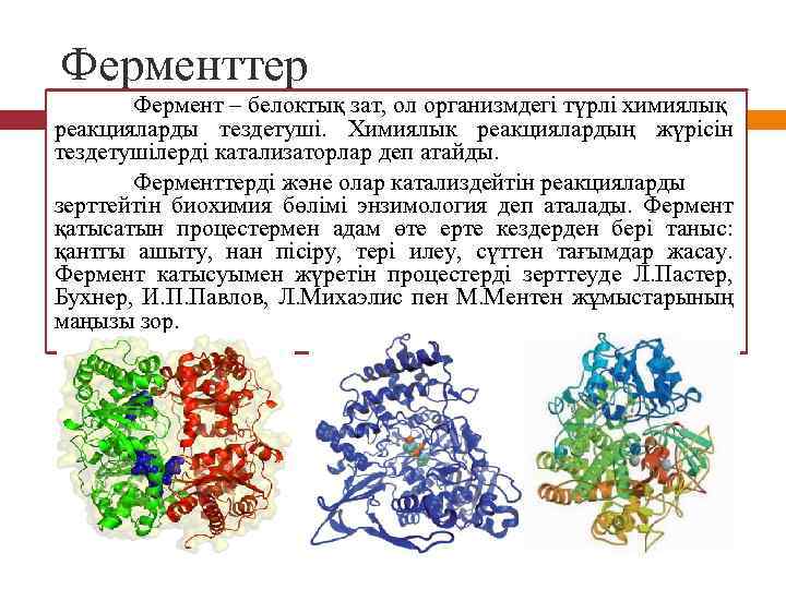 Ферменттер Фермент – белоктық зат, ол организмдегі түрлі химиялық реакцияларды тездетуші. Химиялык реакциялардың жүрісін