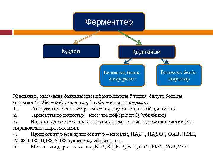 Ферменттер Күрделі Қарапайым Белоктық бөлік апофермент Белоксыз бөлік кофактор Химиялық құрамына байланысты кофакторларды 5