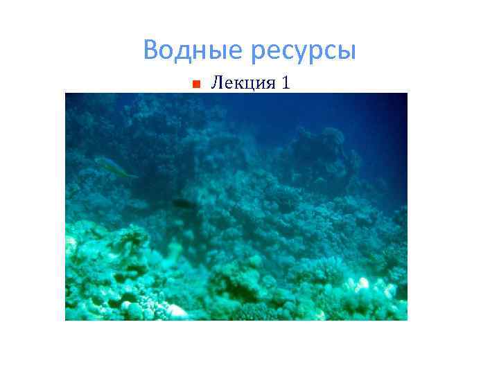 Водные ресурсы n Лекция 1 