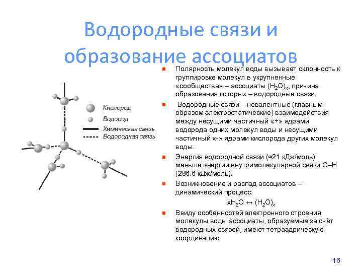 Водородные связи и образование ассоциатов n n n Полярность молекул воды вызывает склонность к