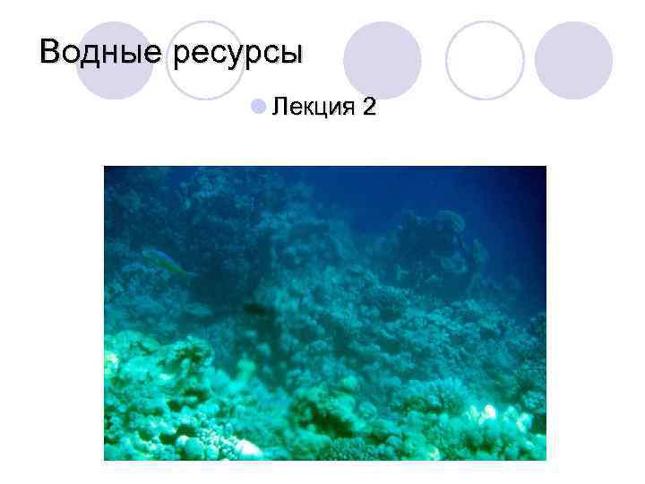 Водные ресурсы l Лекция 2 