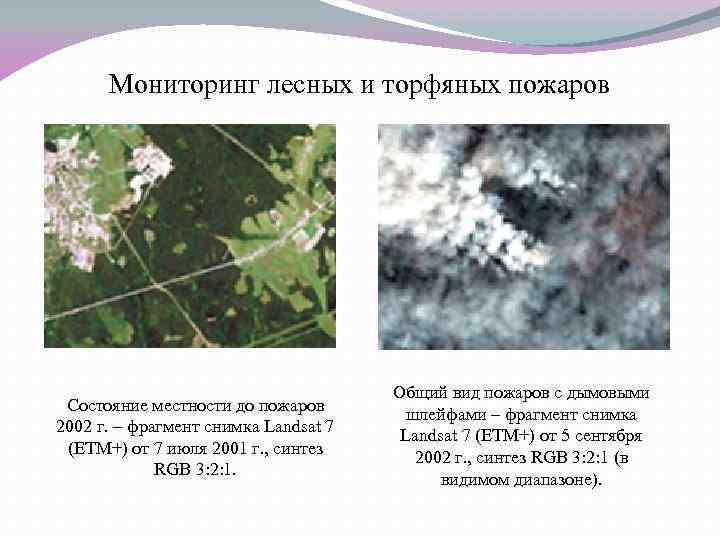 Мониторинг лесных и торфяных пожаров Состояние местности до пожаров 2002 г. – фрагмент снимка