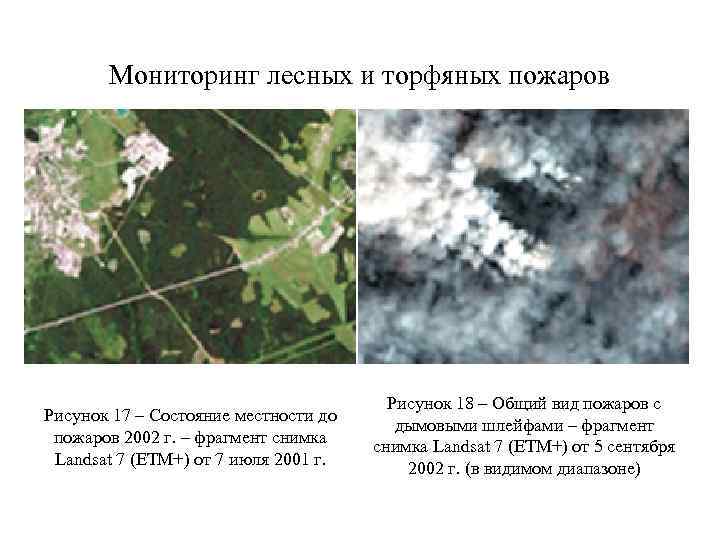 Мониторинг лесных и торфяных пожаров Рисунок 17 – Состояние местности до пожаров 2002 г.