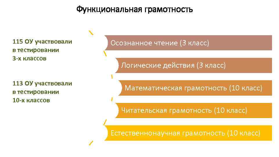 Функциональная грамотность 115 ОУ участвовали в тестировании 3 -х классов 113 ОУ участвовали в