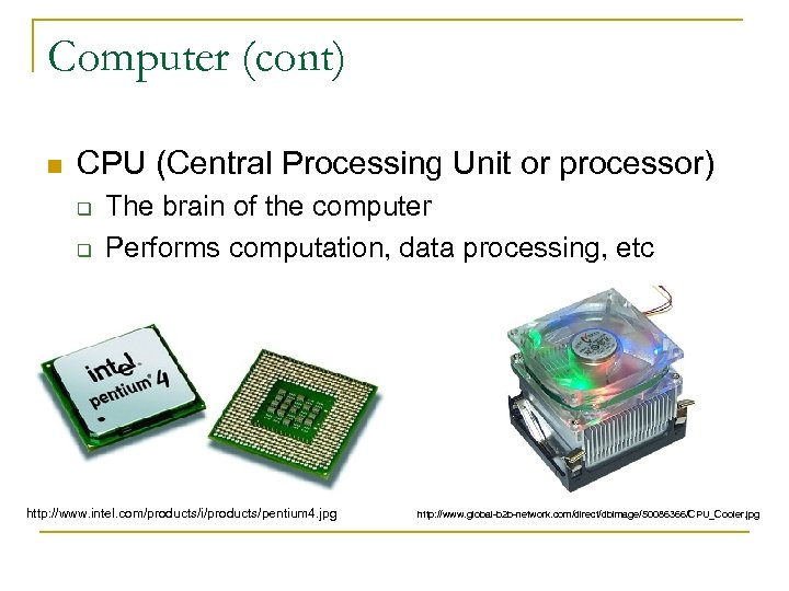 Computer (cont) n CPU (Central Processing Unit or processor) q q The brain of