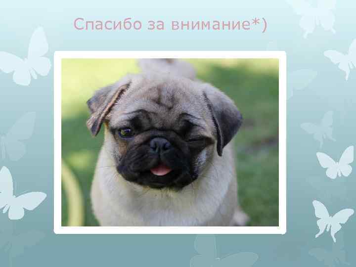 Спасибо за внимание*) 