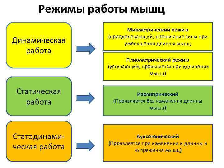 Режимы мышц