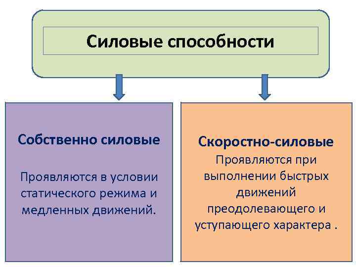 Силовые способности Собственно силовые Проявляются в условии статического режима и медленных движений. Скоростно-силовые Проявляются