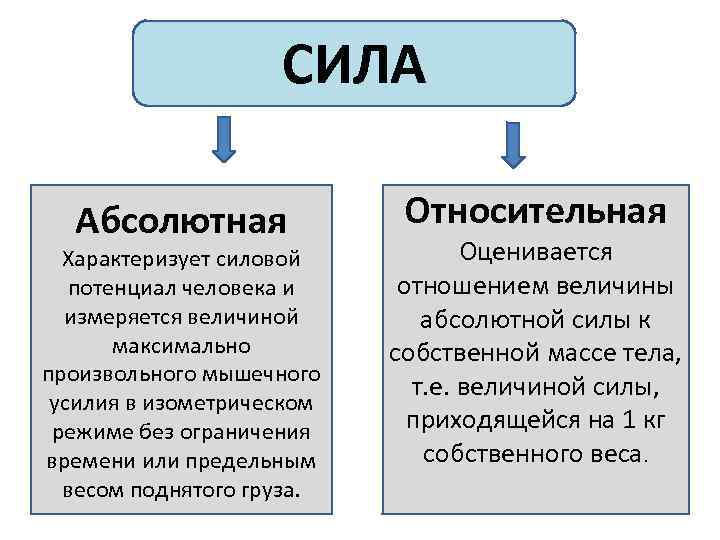 Различие силы. Абсолютная и Относительная сила. Виды силы в физкультуре. Абсолютная сила и Относительная сила. Виды силы в физической культуре.