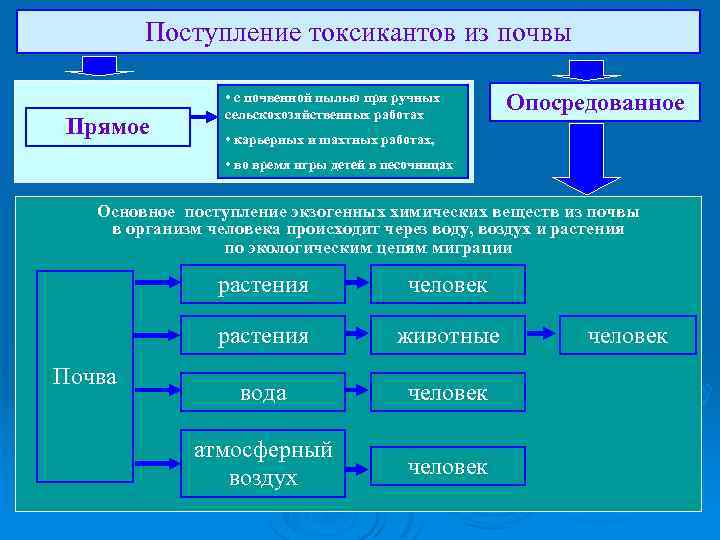 Поступление токсикантов из почвы Прямое • с почвенной пылью при ручных сельскохозяйственных работах Опосредованное