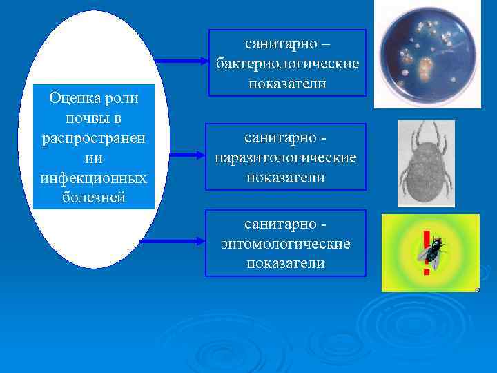 Оценка роли почвы в распространен ии инфекционных болезней санитарно – бактериологические показатели санитарно паразитологические