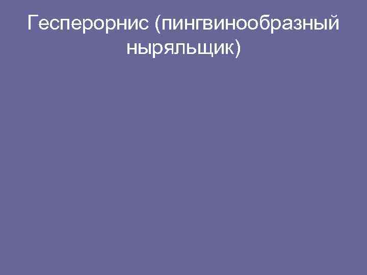 Гесперорнис (пингвинообразный ныряльщик) 