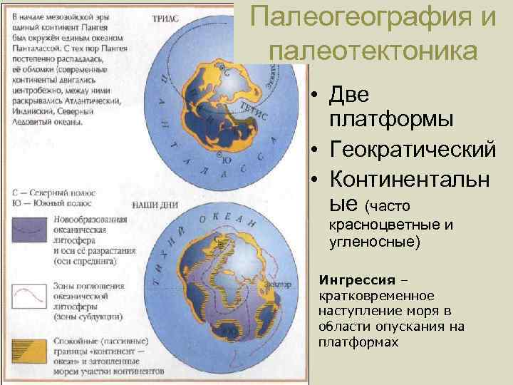 Палеогеография и палеотектоника • Две платформы • Геократический • Континентальн ые (часто красноцветные и