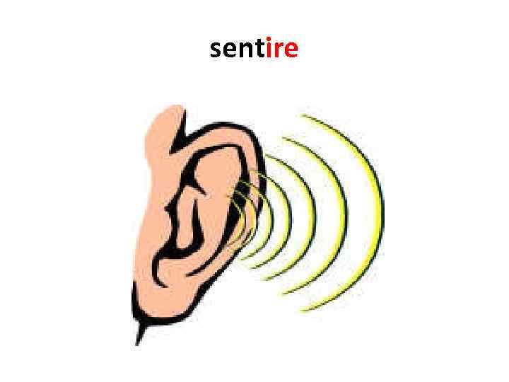 sentire 