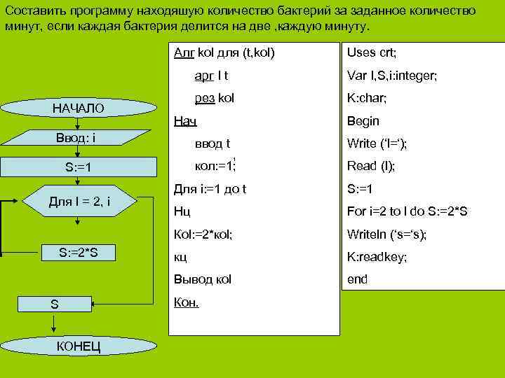 Составить программу находяшую количество бактерий за заданное количество минут, если каждая бактерия делится на