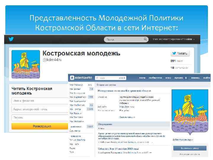 Представленность Молодежной Политики Костромской Области в сети Интернет: 