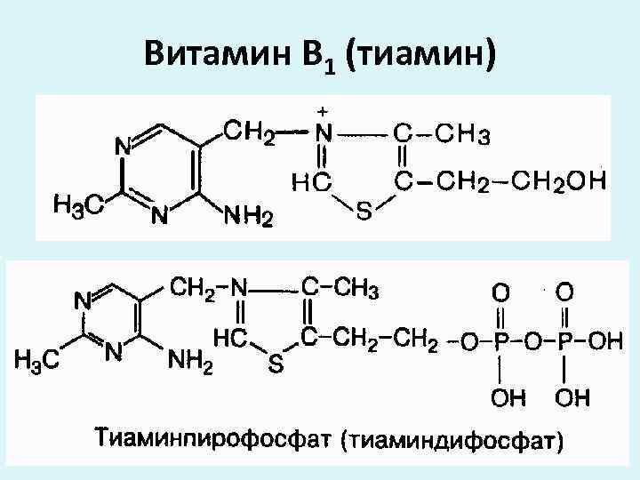 Витамин В 1 (тиамин) 