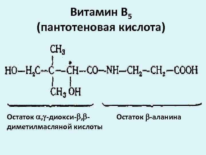 Витамин В 5 (пантотеновая кислота) Остаток , -диокси- , диметилмасляной кислоты Остаток -аланина 