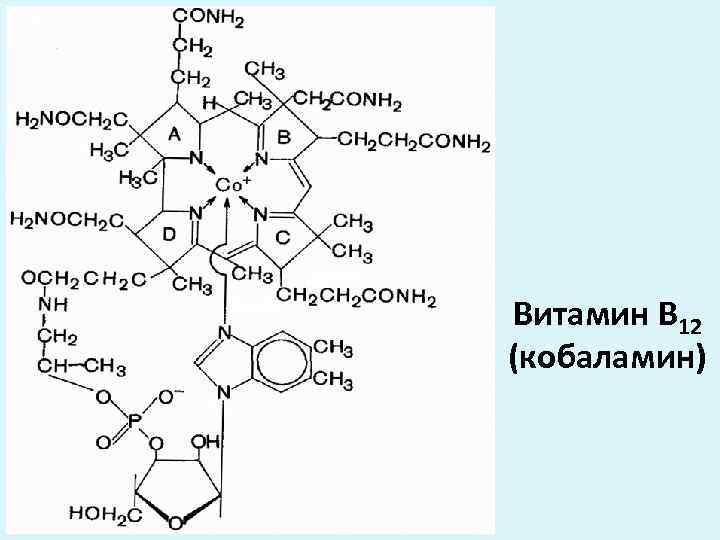 Витамин В 12 (кобаламин) 
