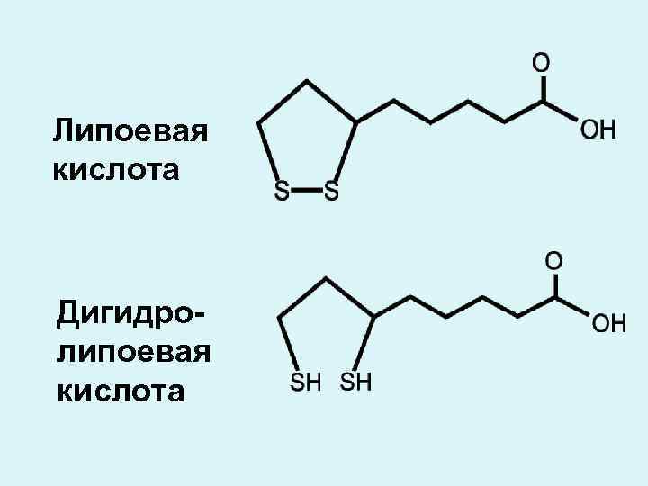 Альфа липоевая кислота содержится в продуктах