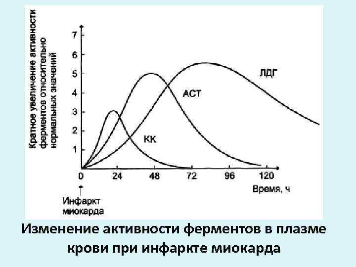 Изменение активности ферментов в плазме крови при инфаркте миокарда 