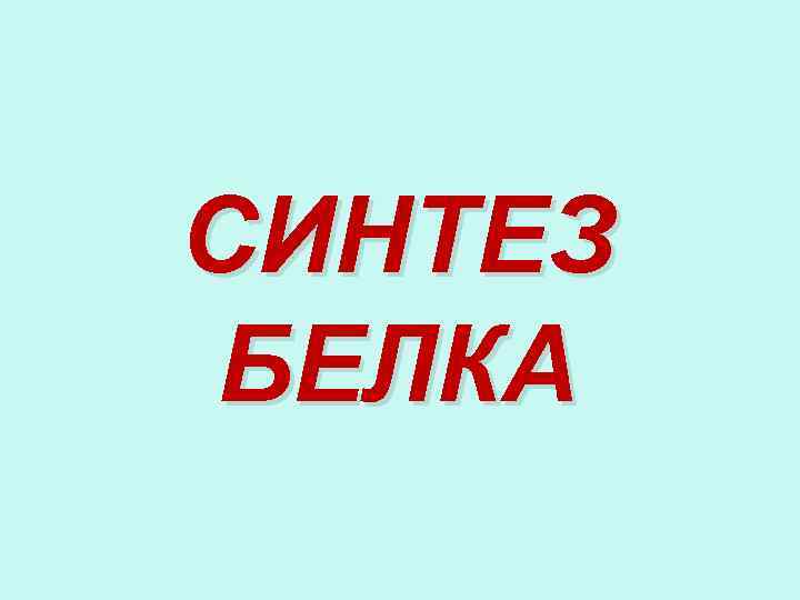 СИНТЕЗ БЕЛКА 