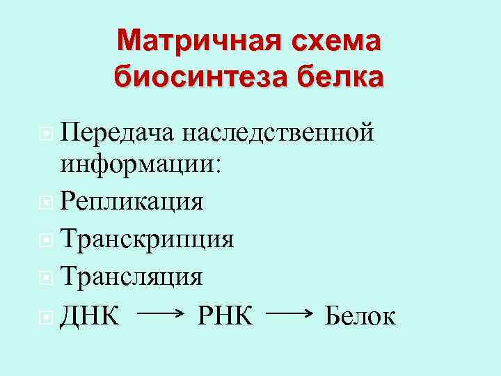 Матричная схема биосинтеза белка Передача наследственной информации: Репликация Транскрипция Трансляция ДНК РНК Белок 
