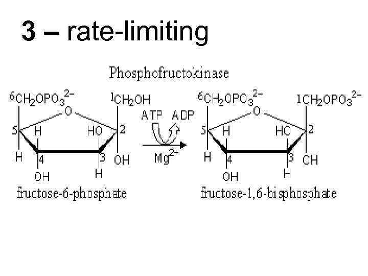 3 – rate-limiting 