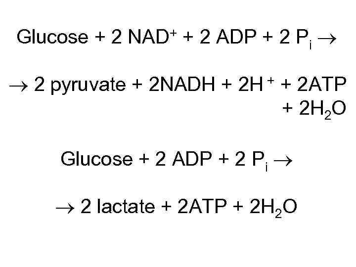 Glucose + 2 NAD+ + 2 ADP + 2 Pi 2 pyruvate + 2