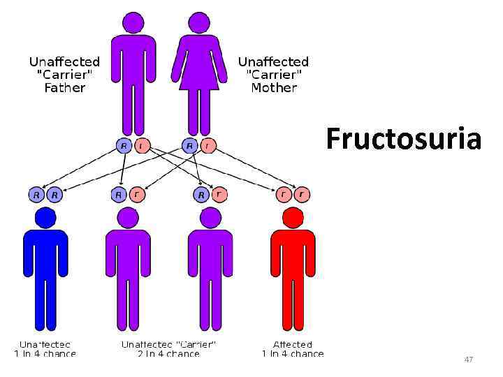 Fructosuria 47 