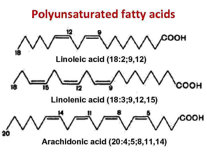 Polyunsaturated fatty acids Linoleic acid (18: 2; 9, 12) Linolenic acid (18: 3; 9,