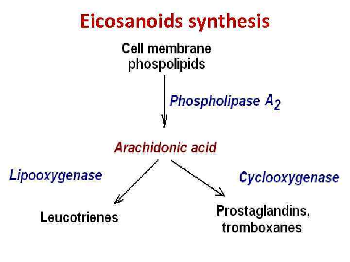 Eicosanoids synthesis 