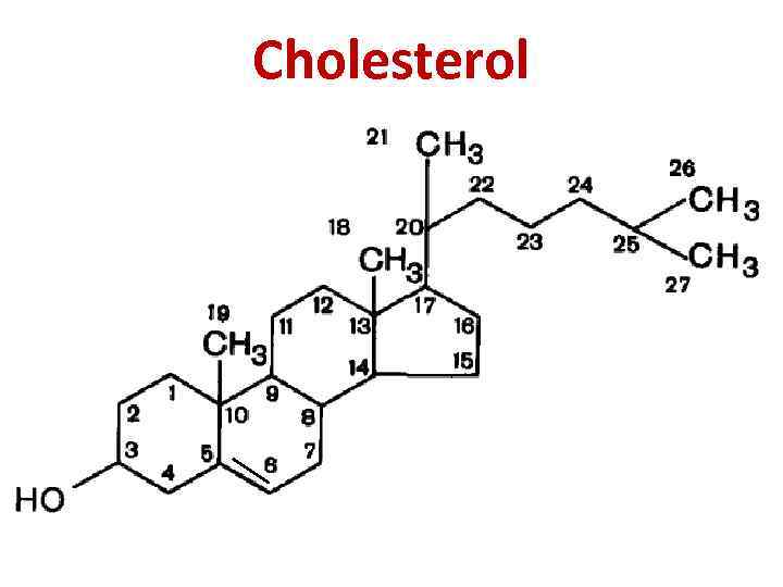 Cholesterol 