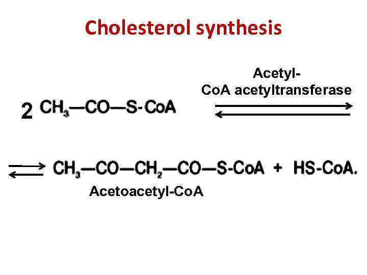 Cholesterol synthesis Acetyl. Co. A acetyltransferase 2 Acetoacetyl-Co. A 