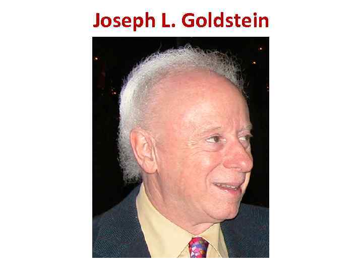 Joseph L. Goldstein 