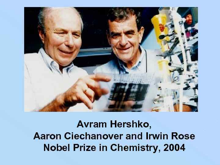 Avram Hershko, Aaron Ciechanover and Irwin Rose Nobel Prize in Chemistry, 2004 