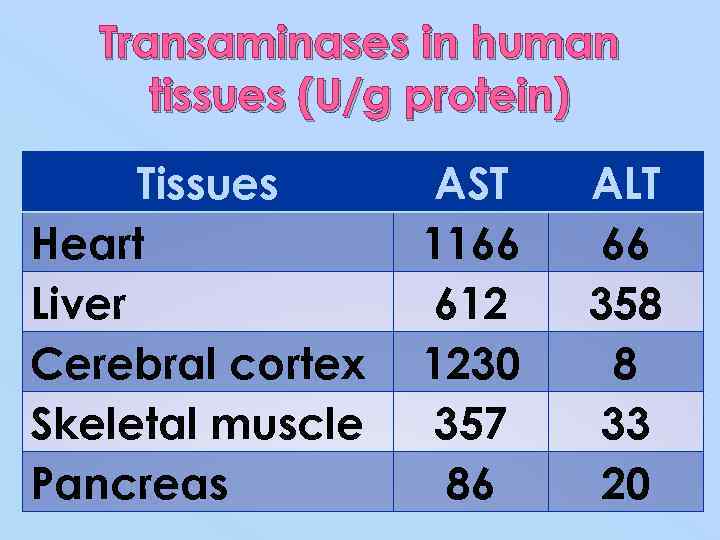 Transaminases in human tissues (U/g protein) Tissues Heart Liver Cerebral cortex Skeletal muscle Pancreas