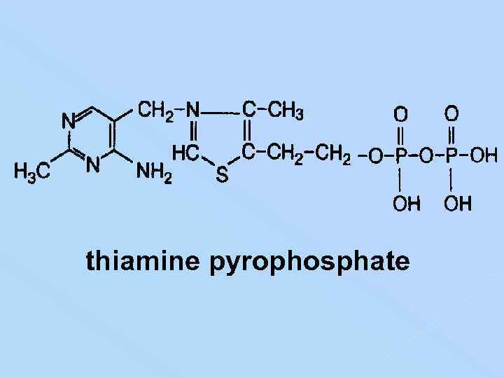 thiamine pyrophosphate 