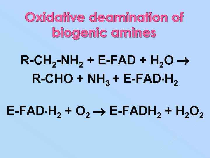 Oxidative deamination of biogenic amines R-CH 2 -NH 2 + E-FAD + H 2