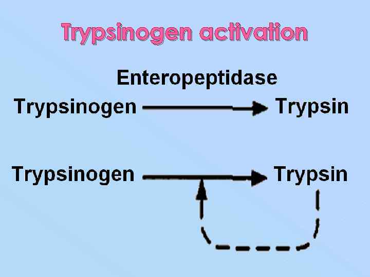Trypsinogen activation 